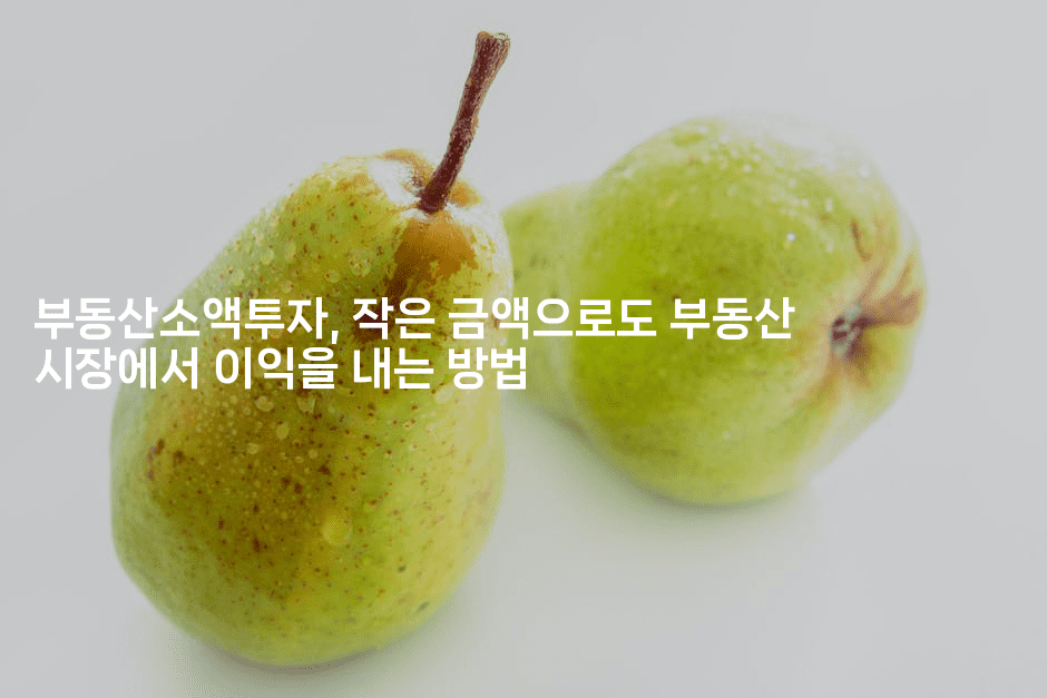 부동산소액투자, 작은 금액으로도 부동산 시장에서 이익을 내는 방법