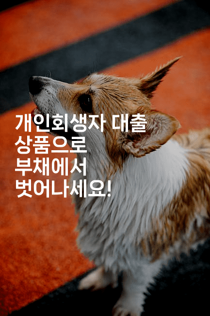 개인회생자 대출 상품으로 부채에서 벗어나세요!-머니라이크