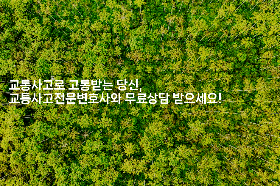 교통사고로 고통받는 당신, 교통사고전문변호사와 무료상담 받으세요!2-머니라이크