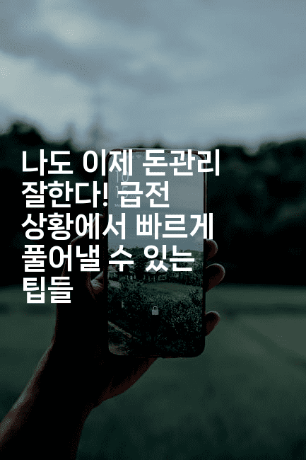 나도 이제 돈관리 잘한다! 급전 상황에서 빠르게 풀어낼 수 있는 팁들2-머니라이크