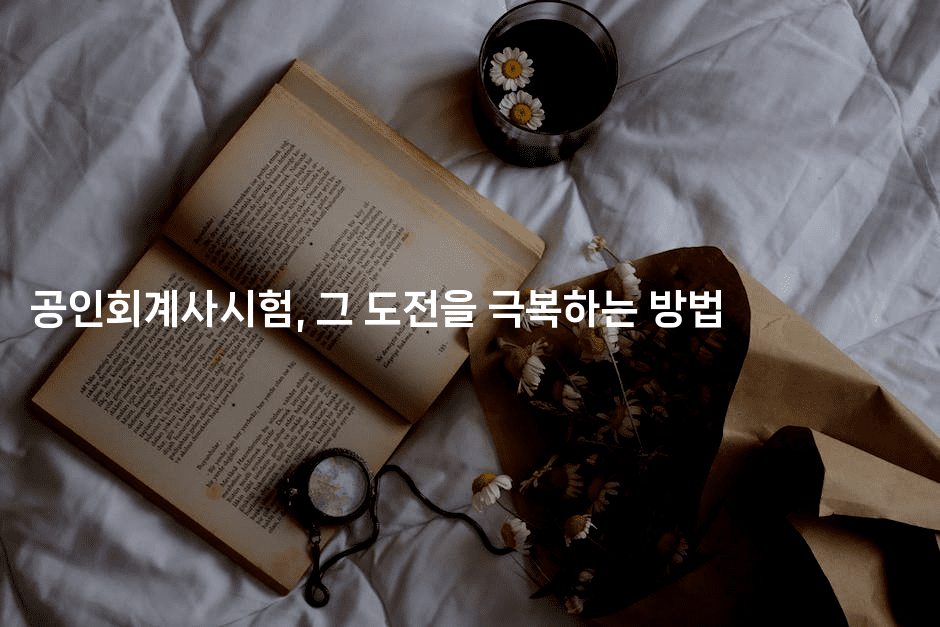 공인회계사시험, 그 도전을 극복하는 방법2-머니라이크