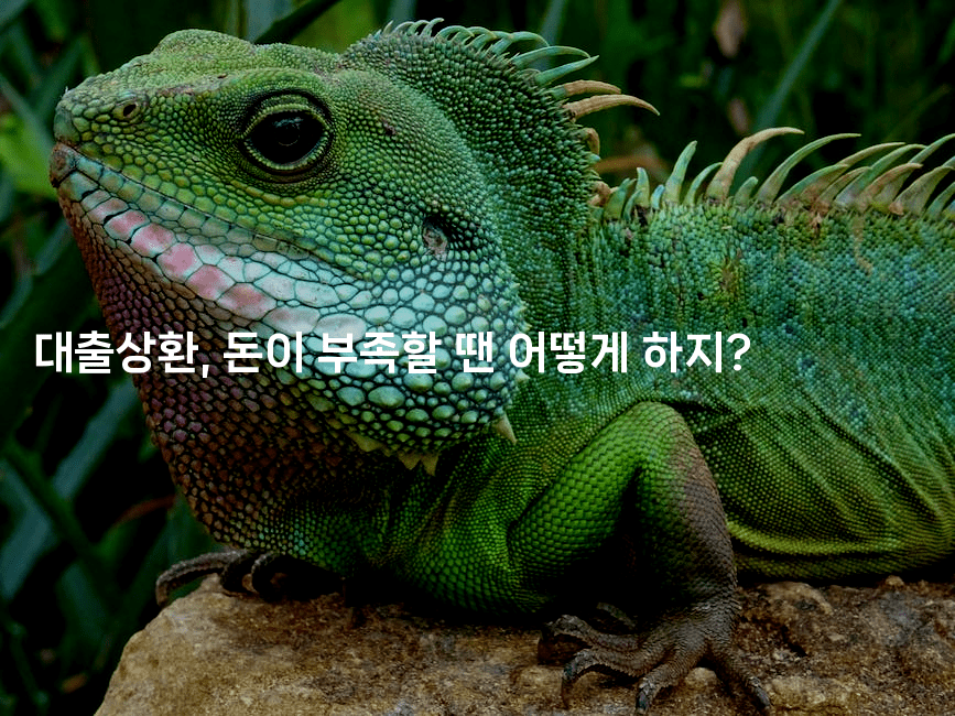 대출상환, 돈이 부족할 땐 어떻게 하지?2-머니라이크