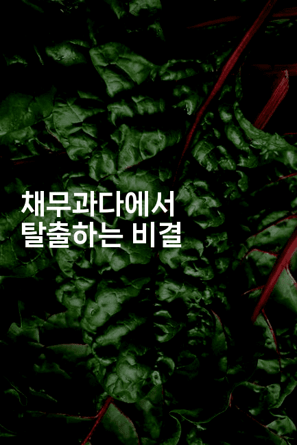 채무과다에서 탈출하는 비결-머니라이크