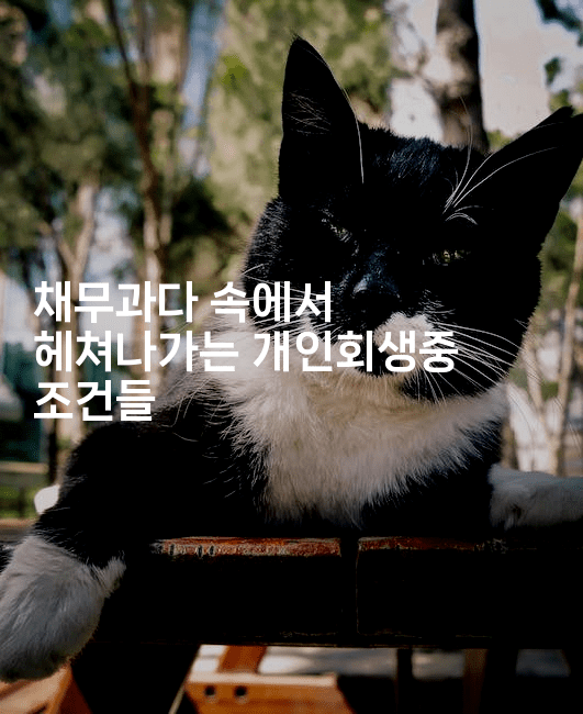 채무과다 속에서 헤쳐나가는 개인회생중 조건들-머니라이크