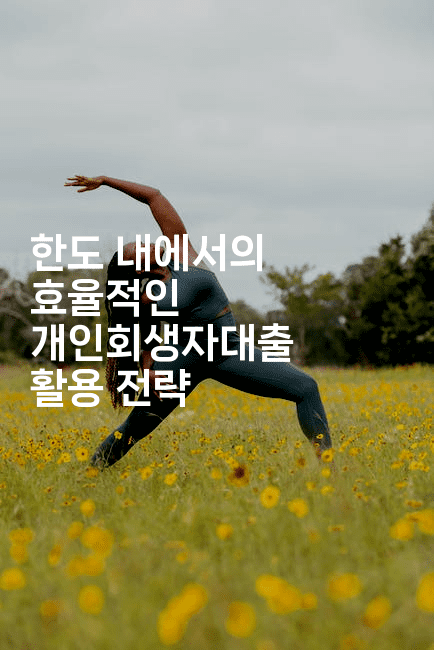 한도 내에서의 효율적인 개인회생자대출 활용 전략