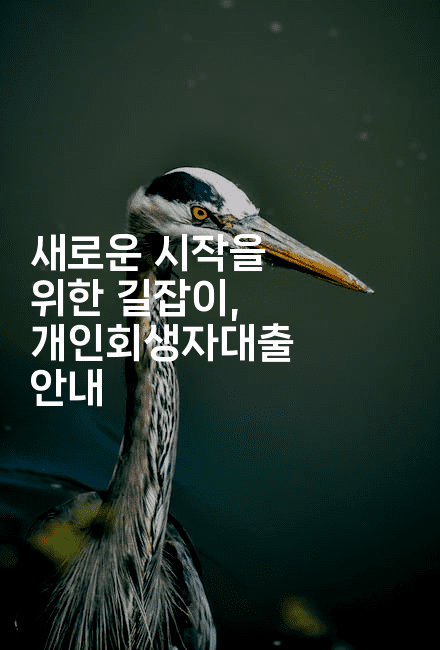 새로운 시작을 위한 길잡이, 개인회생자대출 안내