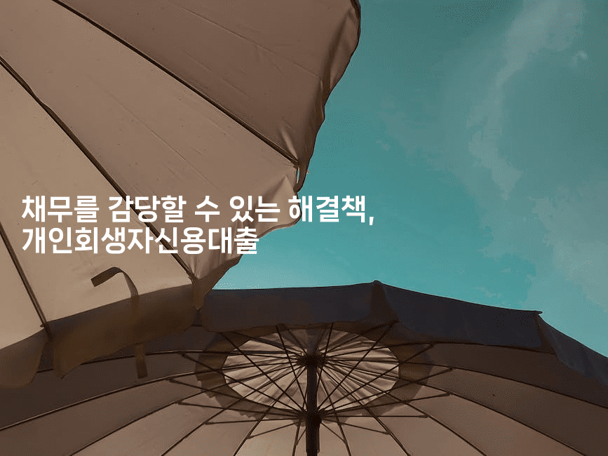 채무를 감당할 수 있는 해결책, 개인회생자신용대출-머니라이크