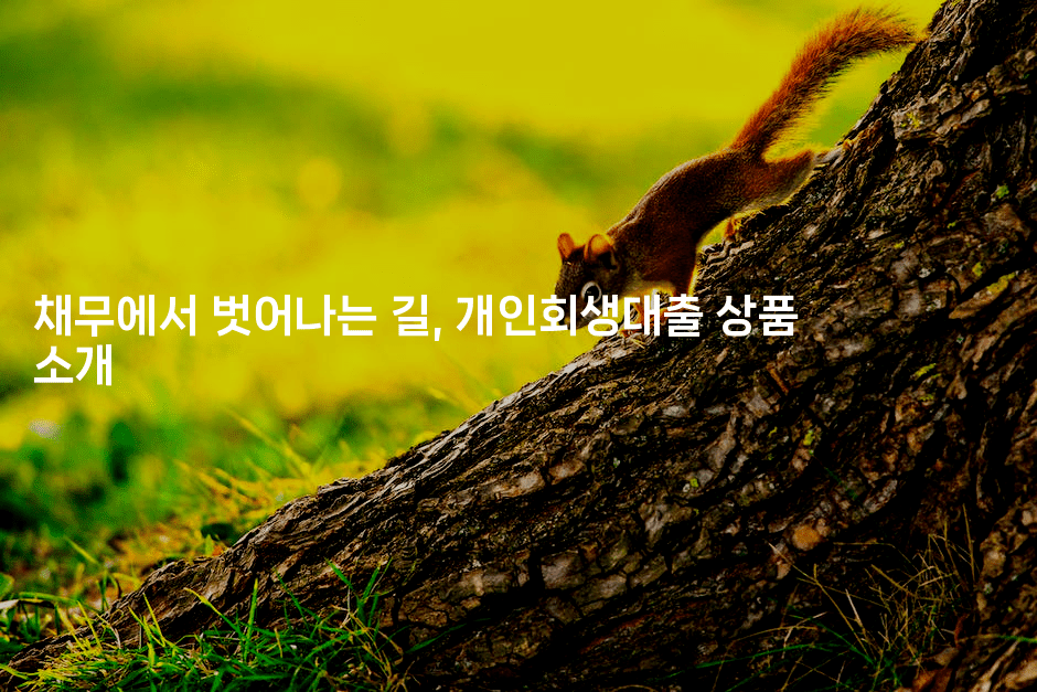 채무에서 벗어나는 길, 개인회생대출 상품 소개-머니라이크