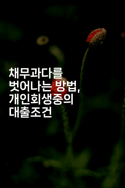 채무과다를 벗어나는 방법, 개인회생중의 대출조건-머니라이크