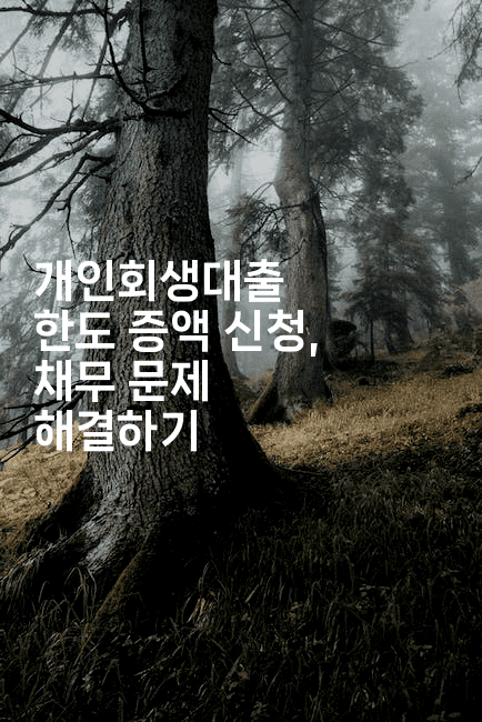 개인회생대출 한도 증액 신청, 채무 문제 해결하기-머니라이크